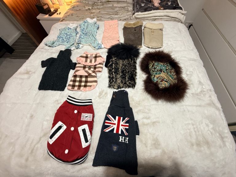 Exclusive designer doggy clothing 