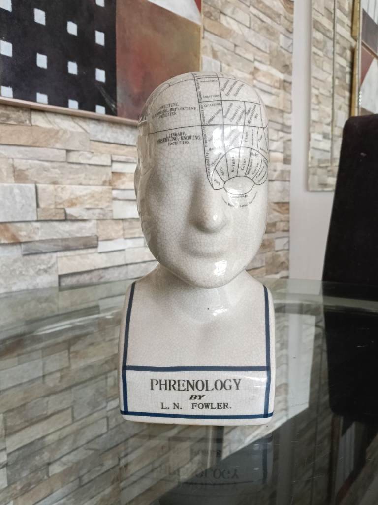 Phrenology head 