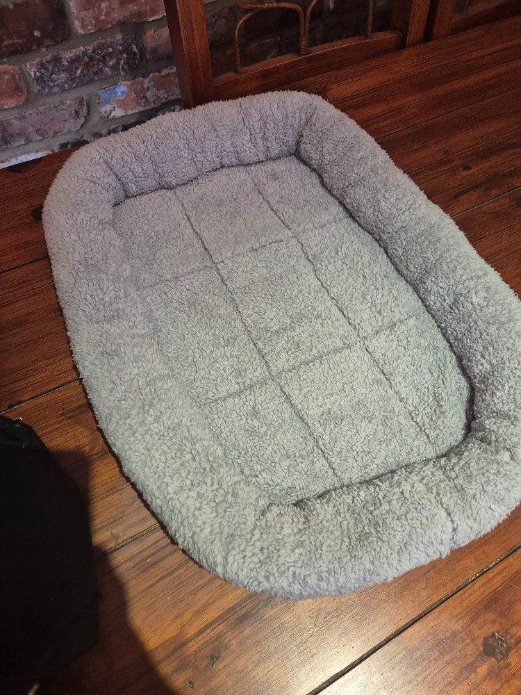  cat bed perfect condition