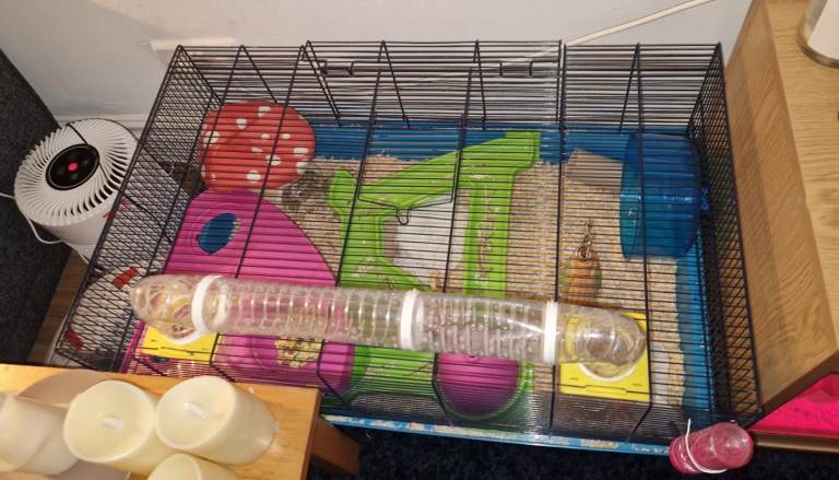 Large Hamster Cage 