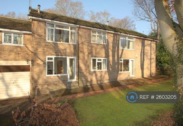 1 bedroom flat in Riverdale Road, Sheffield, S10 (1 bed) (#2603205)