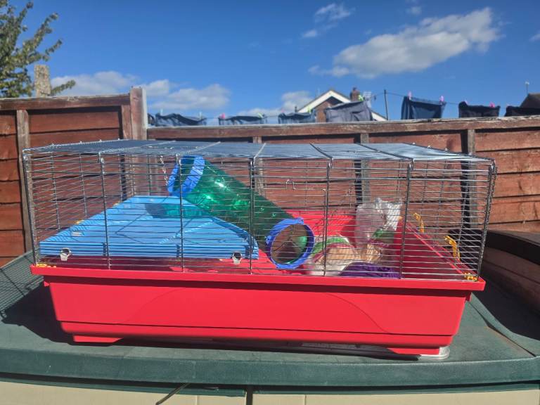Rat or hamster cage