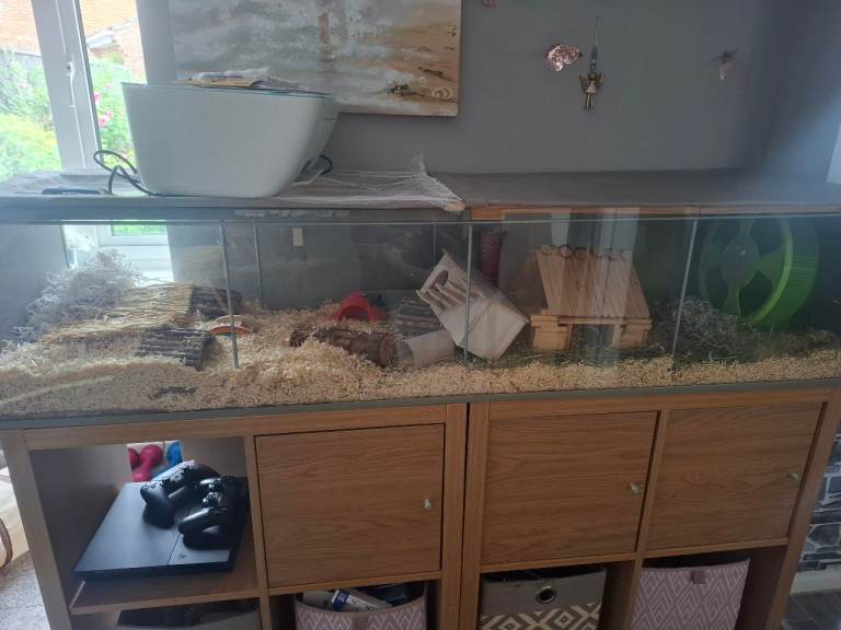 Hamster enclosure.