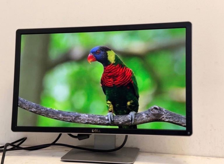 Dell 24” Monitor   Full Hd 1080P led monitor   Display Port Dvi Vga   Good condition