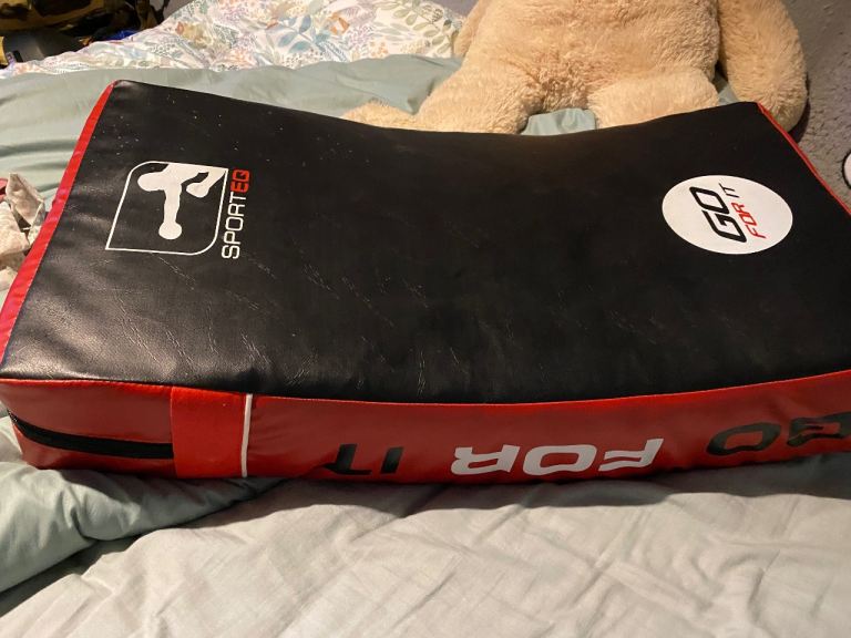 Martial arts punching kicking pad 