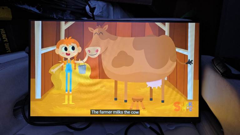 Dell 22" Full HD IPS