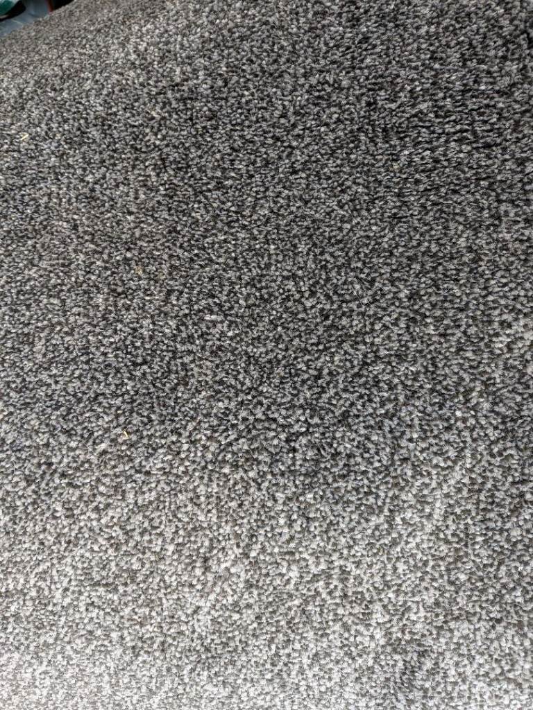 Grey carpet new