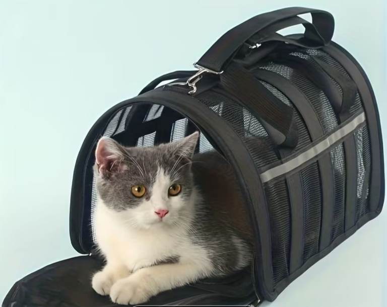 Pet carrier 