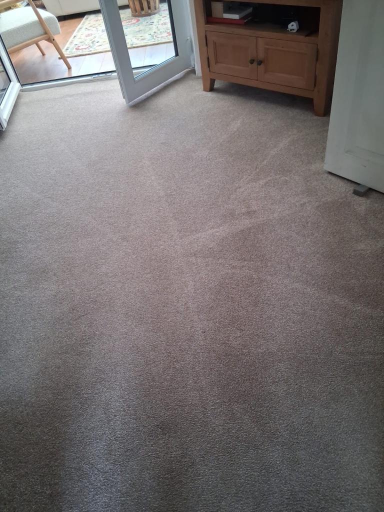 Light Grey Carpet – Good Condition