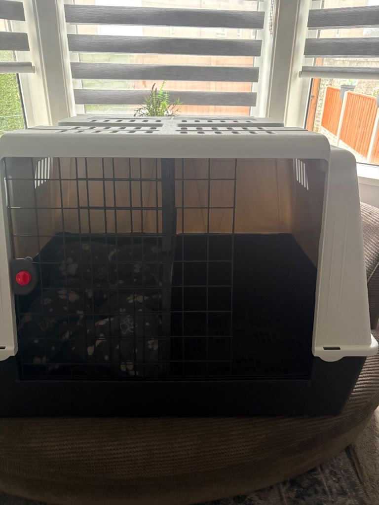 Large double dog crate/carrier 