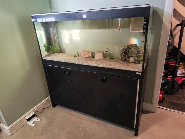 Fluval Roma 240L setup