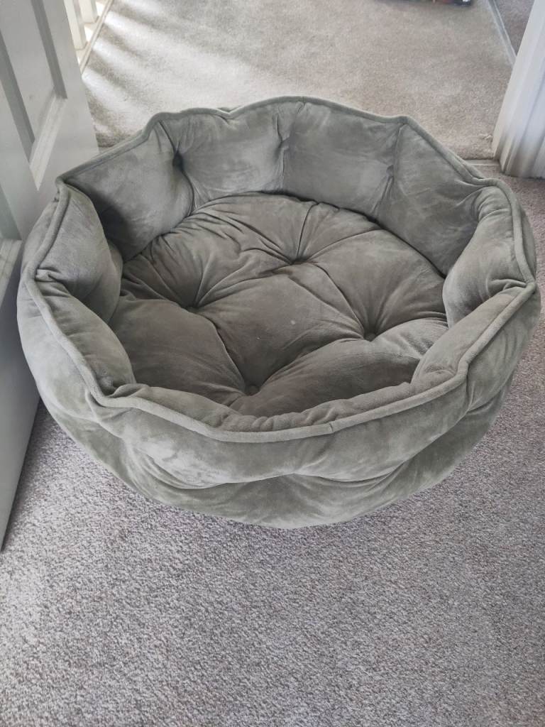 Small dog / large cat bed