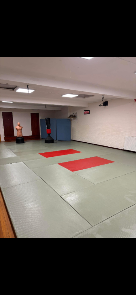 Karate/judo mats