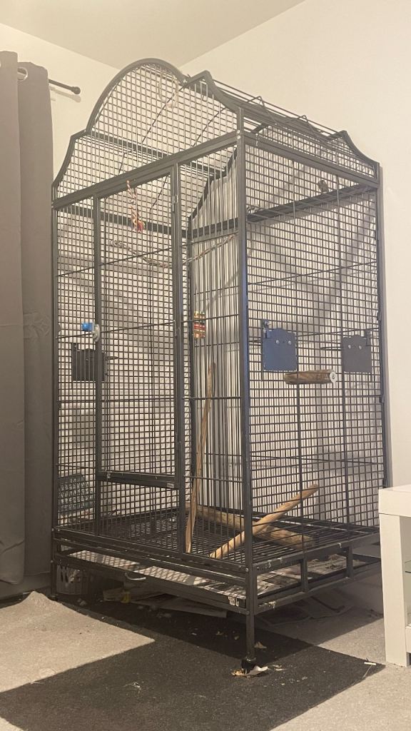 Large parrot cage 