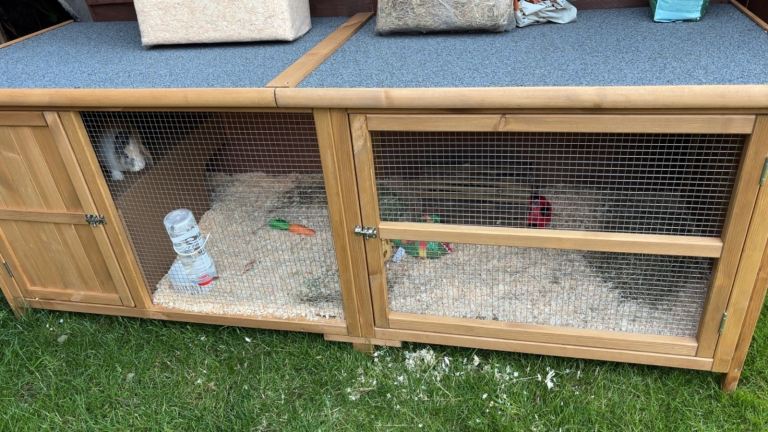 Rabbit hutch 