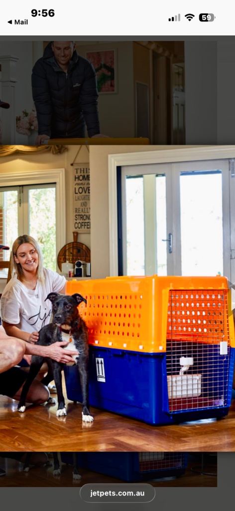 Medium Dog Travel Crate
