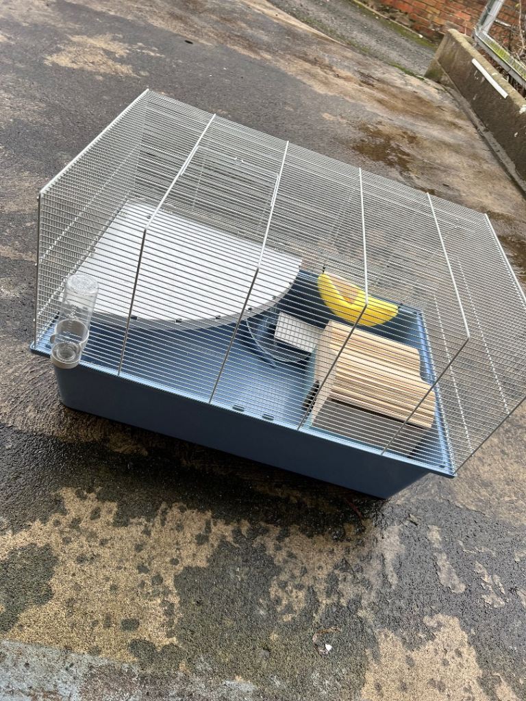 Hamster cage set up