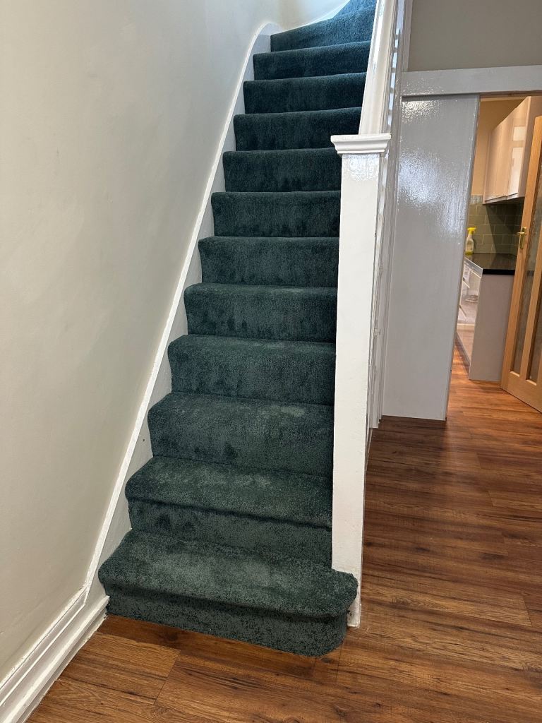 Ideal for Professionals or Students