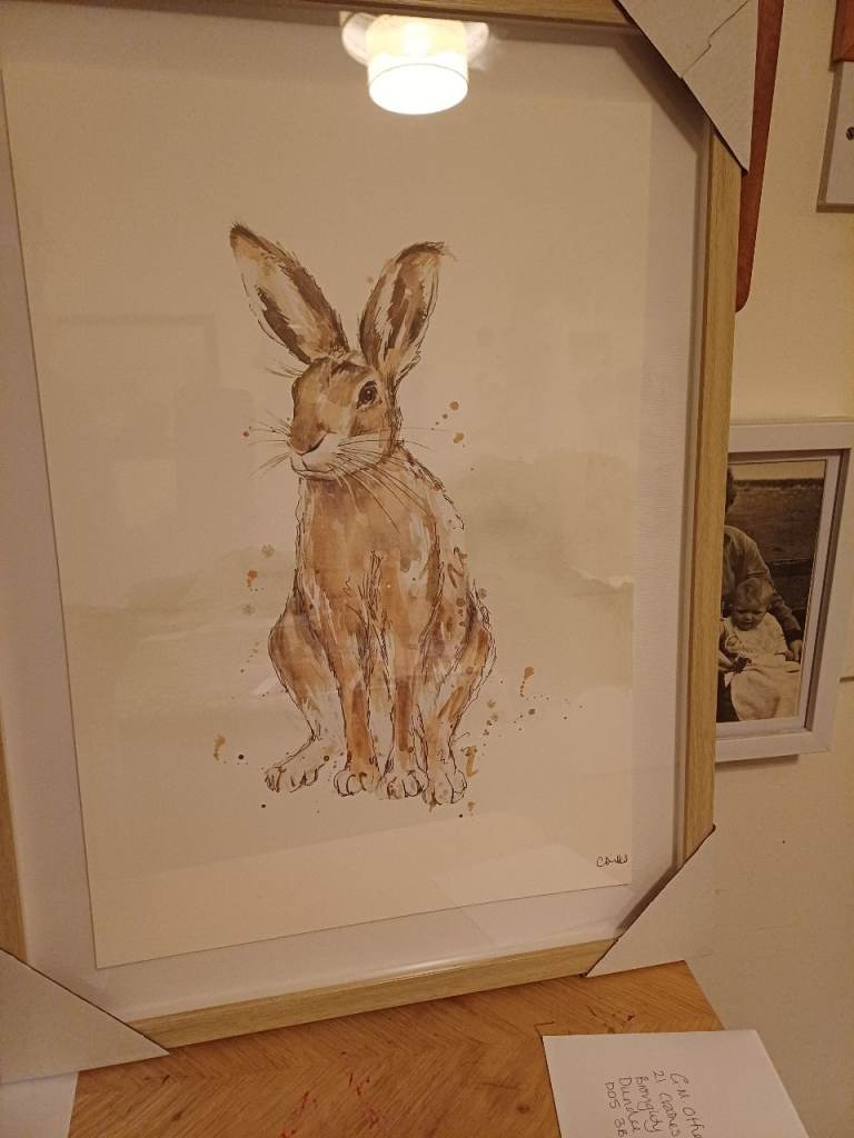 Print of a Hare - still in packaging, Dunelm