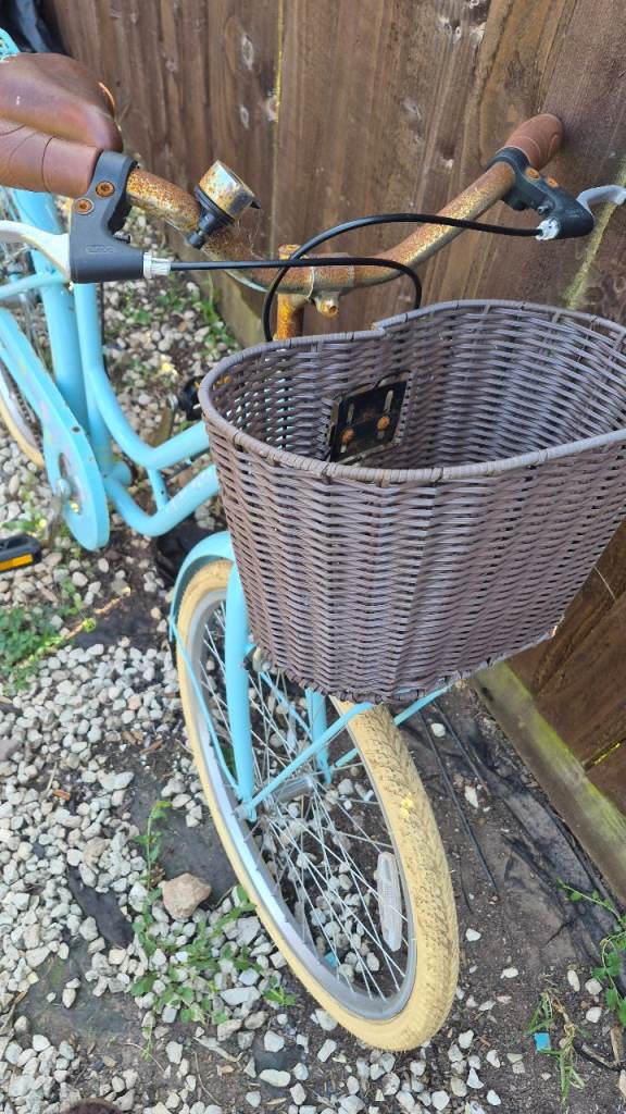Dutch style bike 