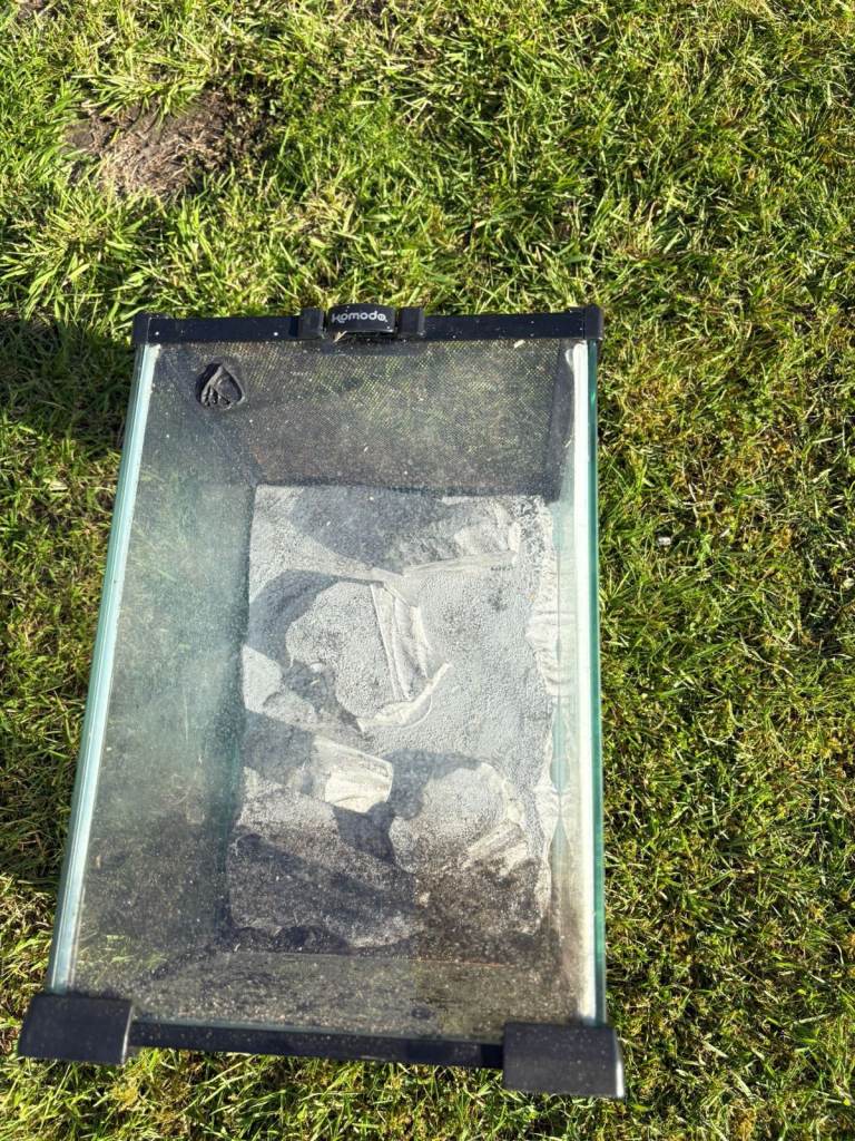 small glass cage for small reptile or inset