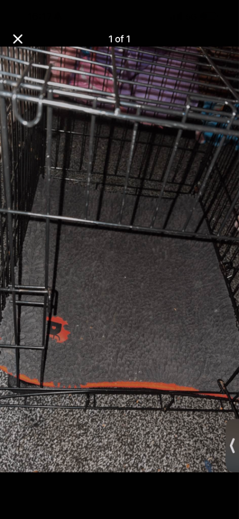 Small dog crate and padded crate mat