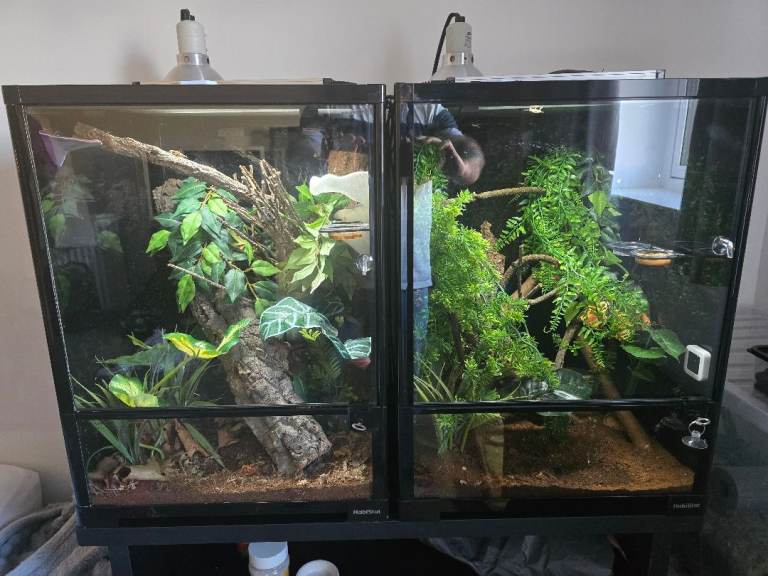2x habistat enclosures