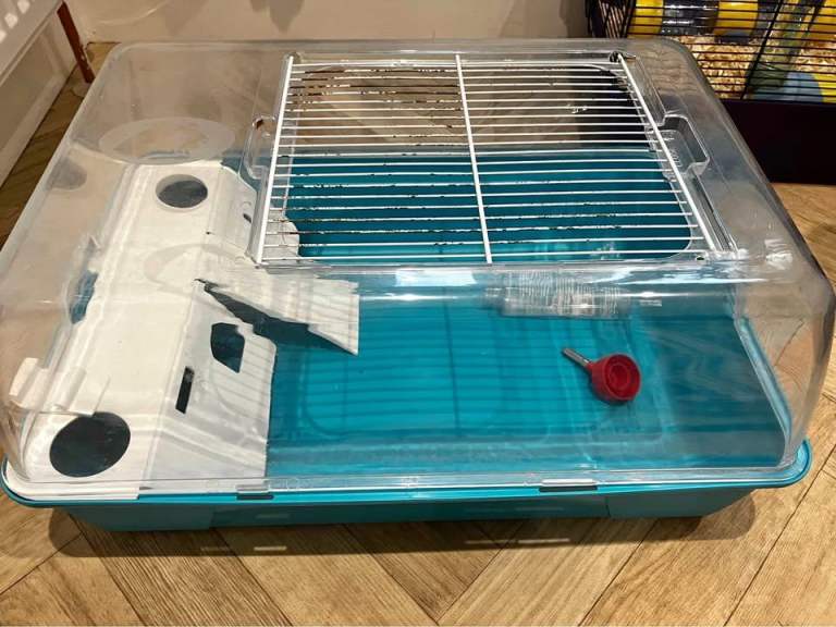 Hamster cage