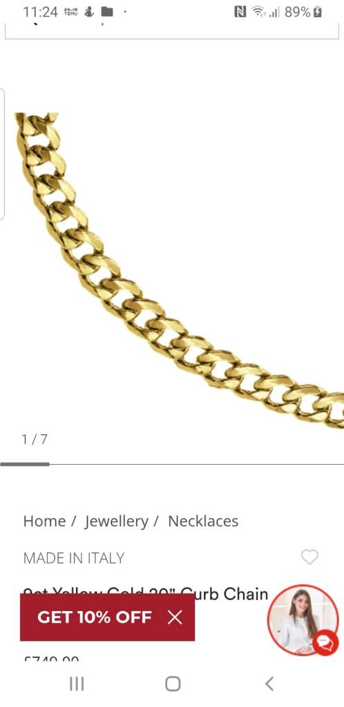 Wanted Gold Chain