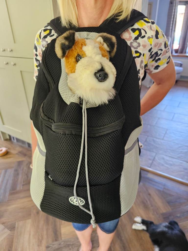 Puppy holder 