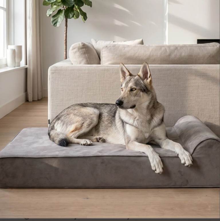Original bully bed