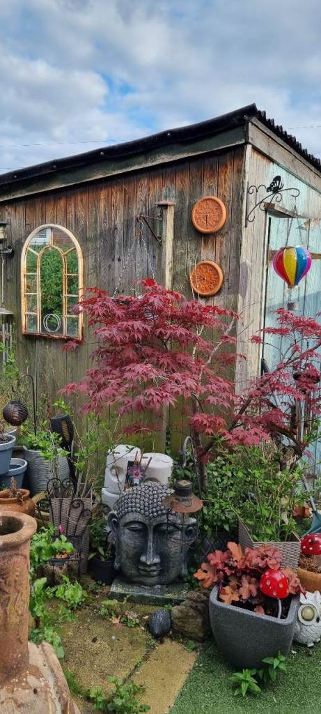 Elm wood shed