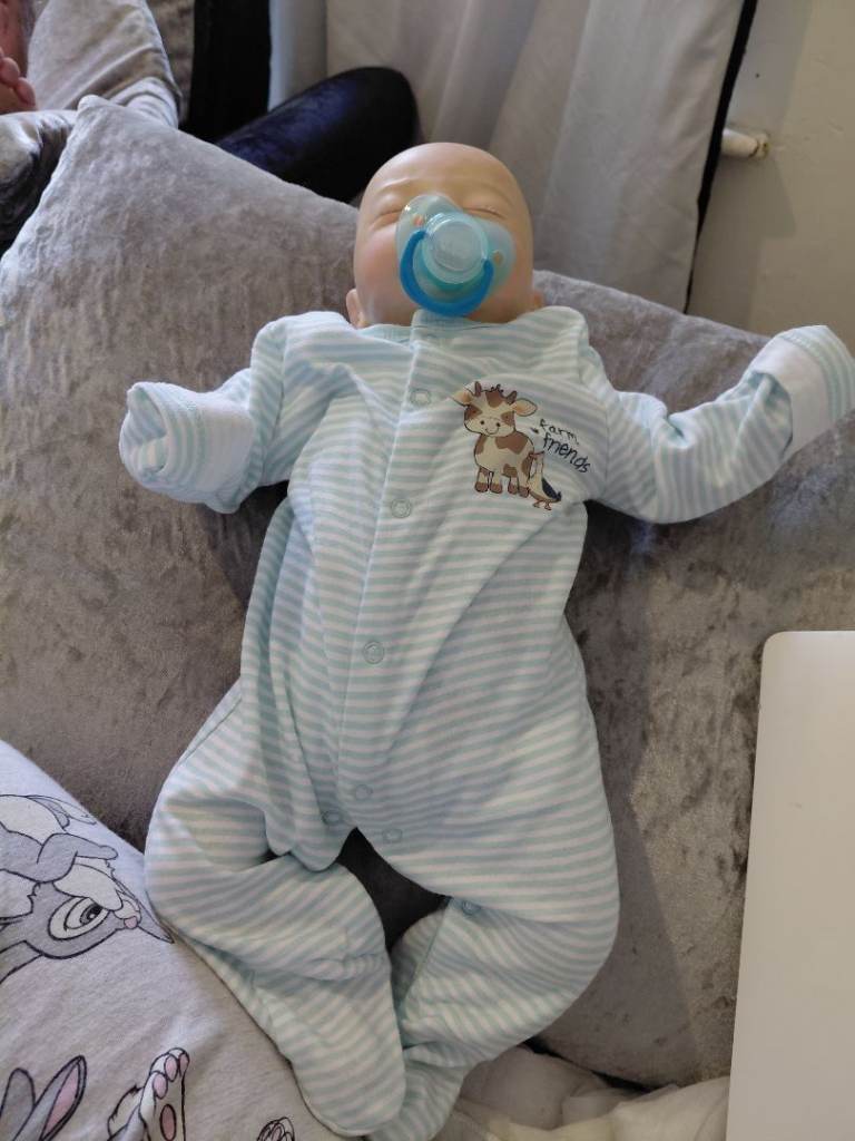 Realistic Reborn Baby Doll with Dummy and Outfit – As Good As New