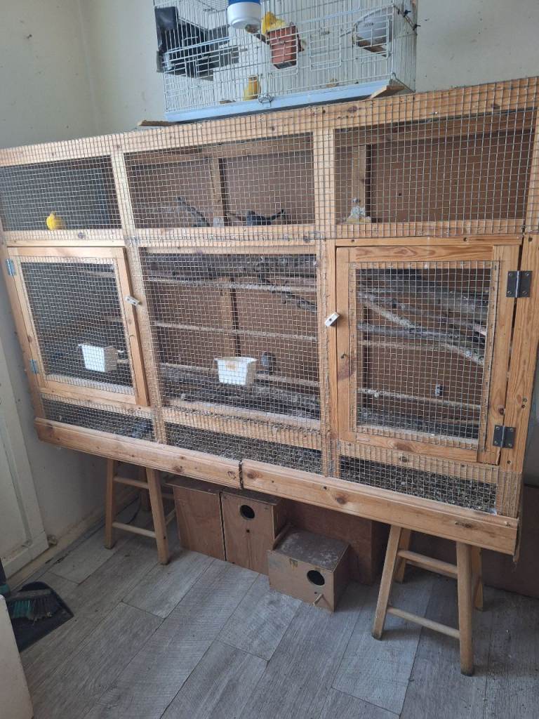 Bird avairy 