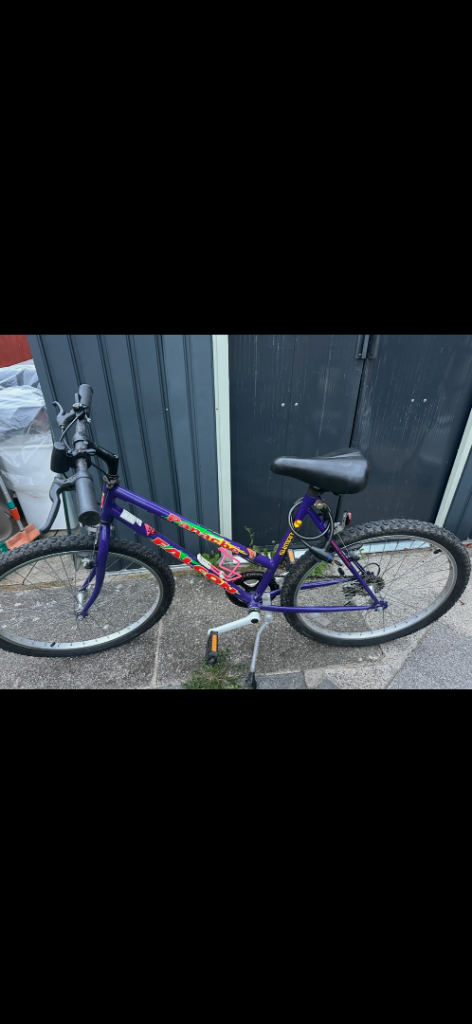 Purple Mountain Bike.