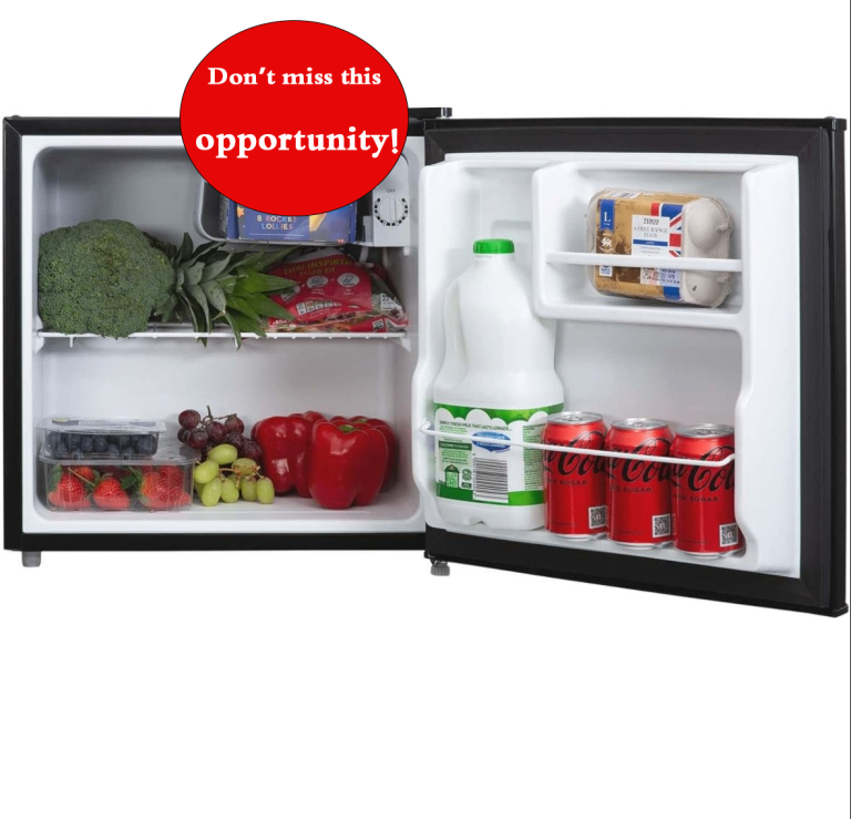small mini fridge