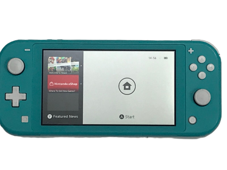 Nintendo Switch Lite Console