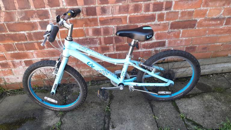 GIANT 20 KIDS BIKE. (Ages 5-9y)