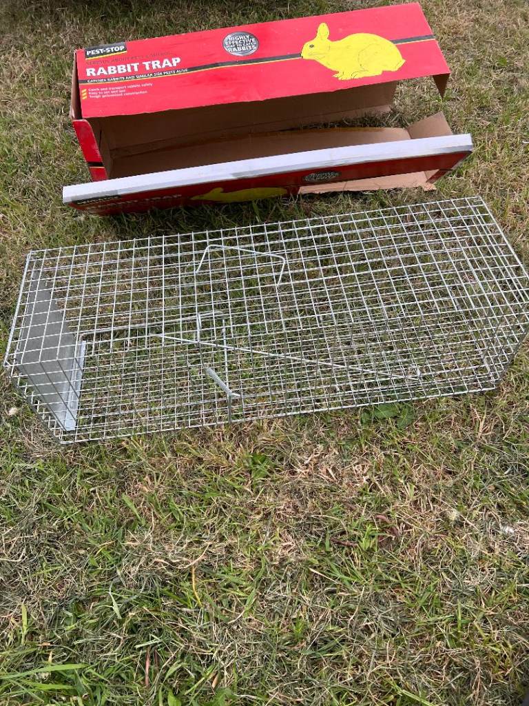 new rabbit trap