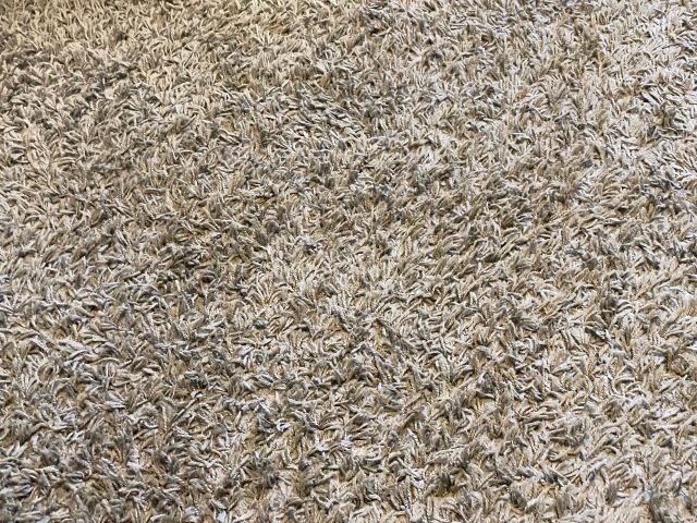 IKEA Hampen high pile large grey rug, £30.00 for Sale