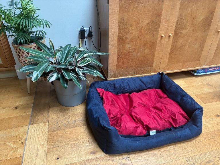 Dog Bed Waterproof and Washable, medium size 