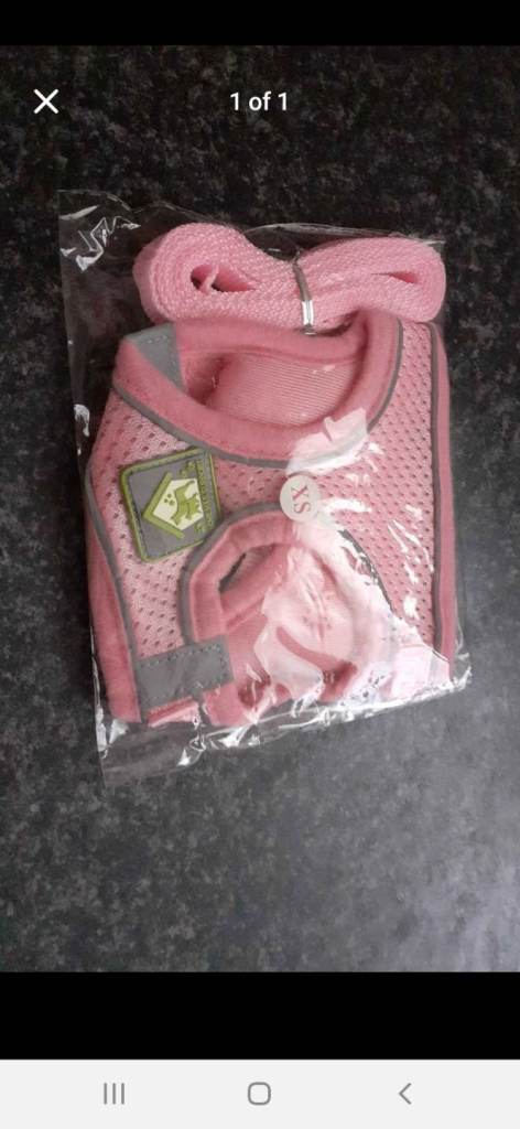 Xs dog harnes and lead set 