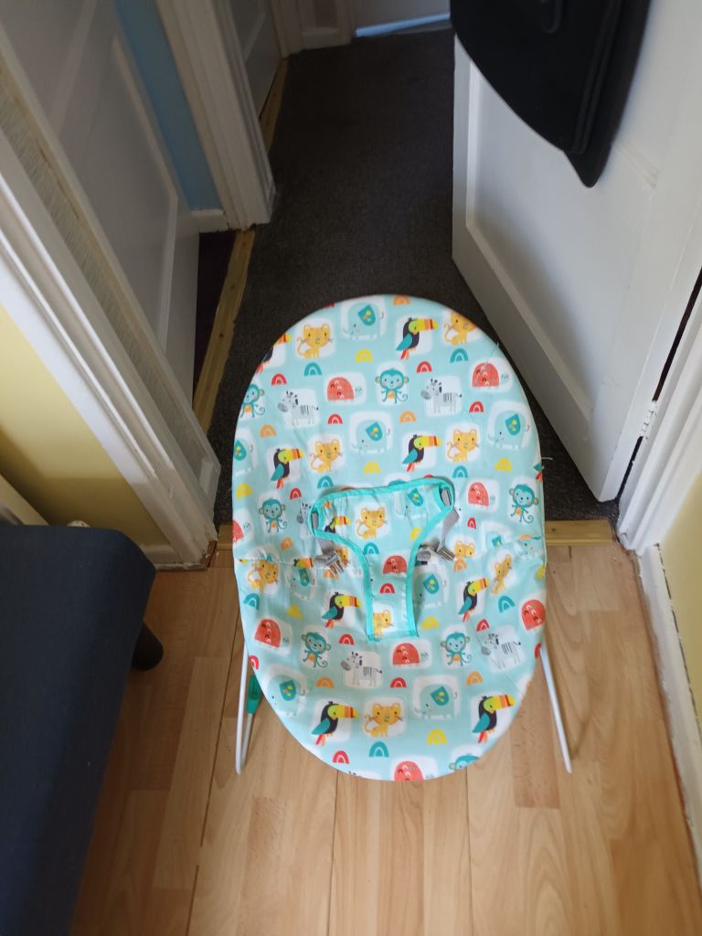 Baby bouncer