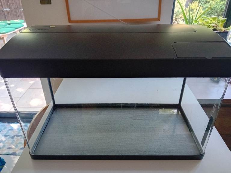 50 litre aquarium/fish tank with filter and other extras