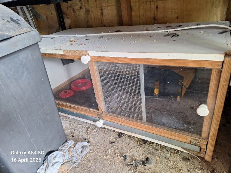 Chick brooder 