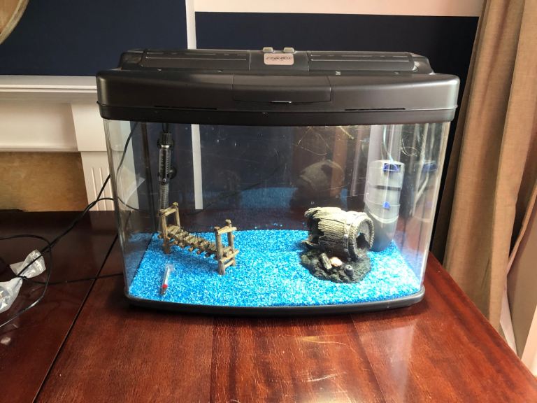 Fish tank setup