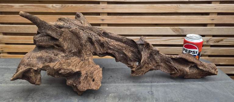 A lovely large piece of bogwood 