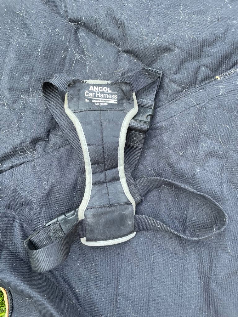 Dog supplies and equipment 