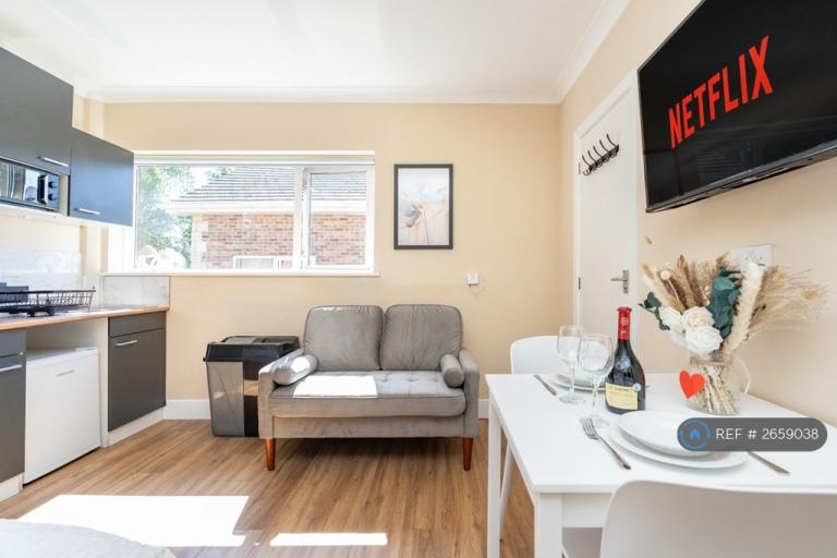 Studio flat in Alton Lodge, Bournemouth, BH3 (#2659038)