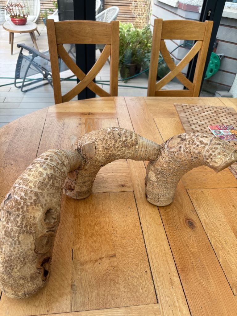 Natural bamboo root for vivarium